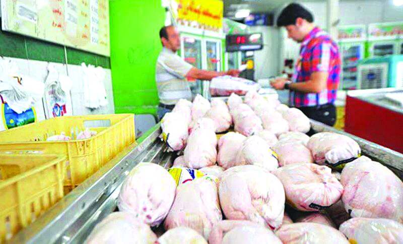 مردم در انتظار کاهش قیمت / افزایش قیمت مرغ در بازار هم‌ سطح با نرخ دلار